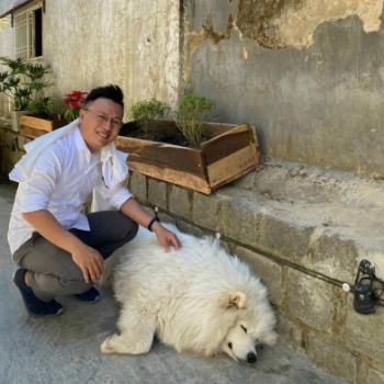dương triều