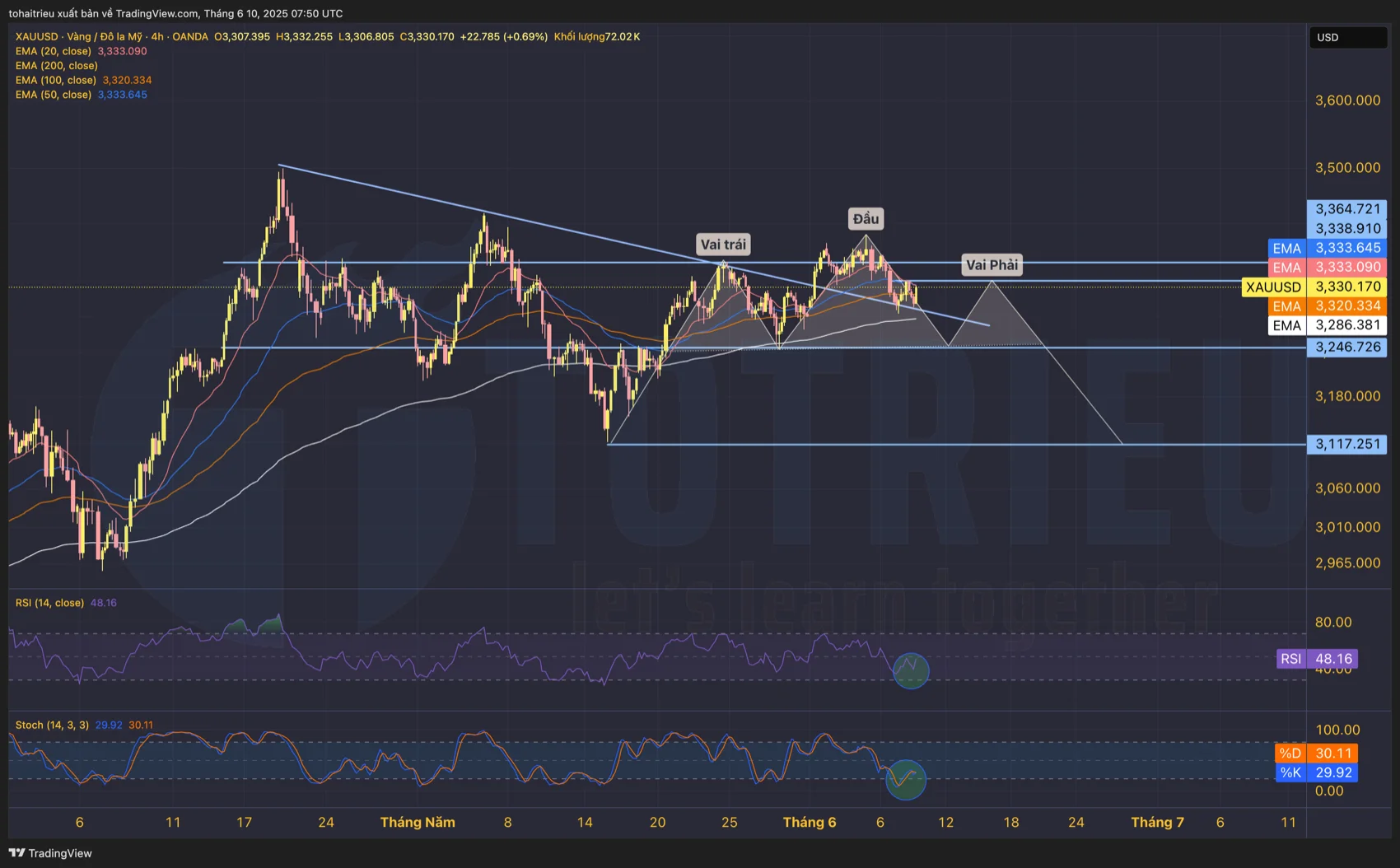Phe Bear phục kích với Gold tuần 24/2025