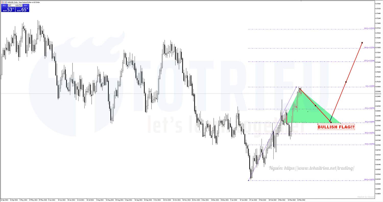 Dự báo Bullish Flag với Fibnoacci trên Chart D1 NZDUSD