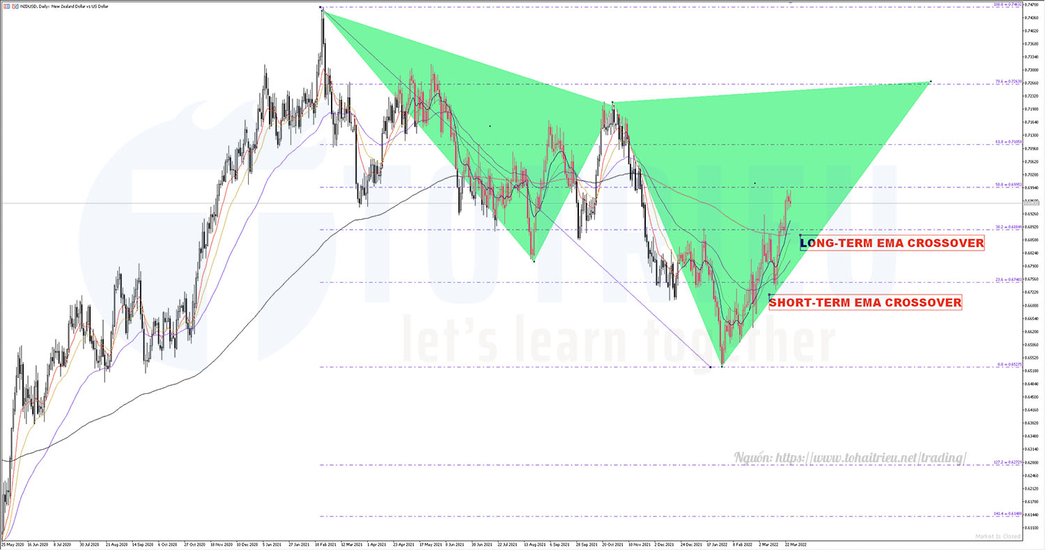 NZDUSD Quý 2-2022 Daily Chart: EMA và Harmonic Cypher