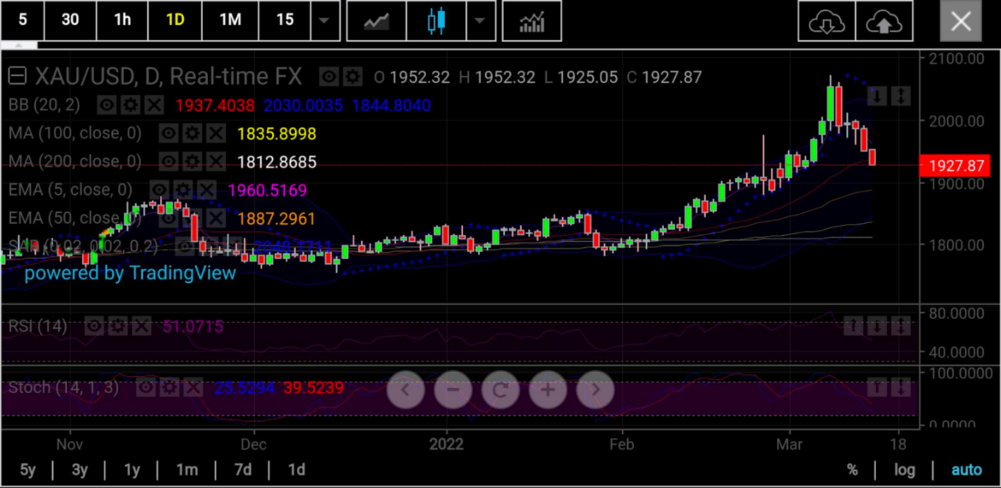 Spot Gold Daily