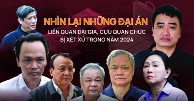 Nhìn lại những đại án liên quan đại gia, cựu quan chức bị xét xử trong năm 2024