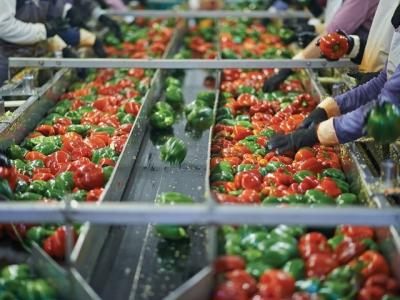 Công nghiệp chế biến thực phẩm Việt Nam: Làm thế nào để áp dụng kinh tế tuần hoàn hiệu quả?