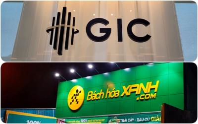 Reuters: Quỹ đầu tư quốc gia Singapore muốn đầu tư vào Bách Hoá Xanh