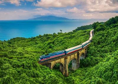 TVG trả cổ tức cộng dồn 3 năm, Phó Chủ tịch muốn gom gần 17%