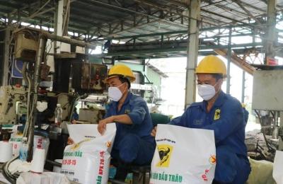 Thị trường phân bón: Giao dịch sôi động với giá tăng mạnh