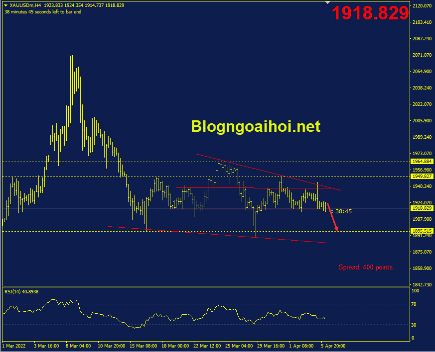 vang-6-4-mo-hinh-vai-dau-vai