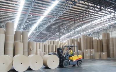 Thị trường không thuận lợi, Thành viên HĐQT DHC mua chưa đầy 50% số cổ phiếu đăng ký