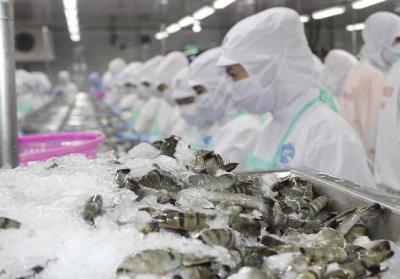 Mỹ công bố kết quả điều tra thuế chống trợ cấp tôm Việt Nam