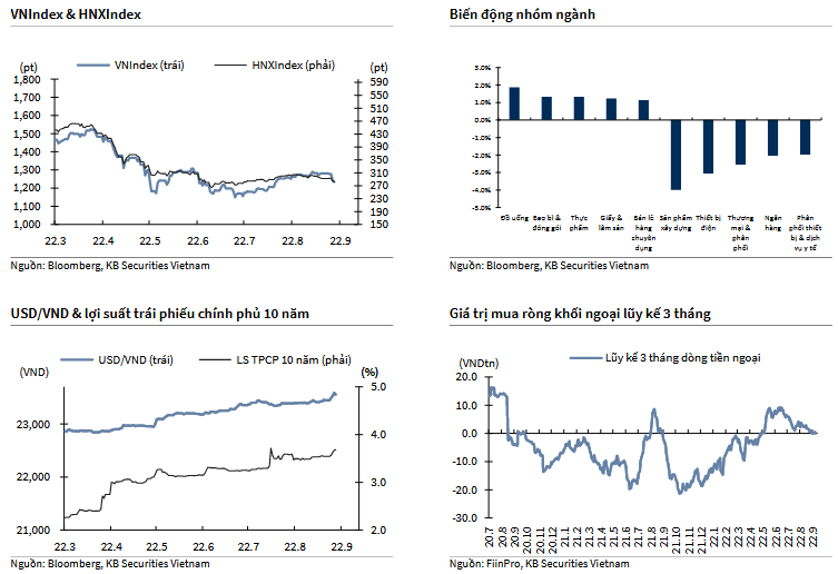 VNIndex & HNXIndex