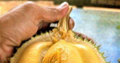 Siêu thị vừa tung ra 'sầu riêng ngon nhất thế giới', doanh số tăng gấp 3 lần