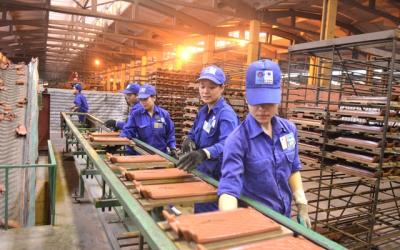 Cổ phiếu DTC có khả năng bị hủy bỏ niêm yết
