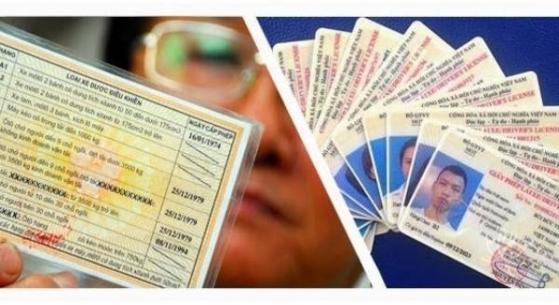 Từ 1/6, chú ý 6 trường hợp này có thể bị thu hồi Giấy phép lái xe