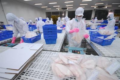 Xuất khẩu cá tra sang khối CPTPP dự kiến lần đầu tăng trưởng dương trong tháng 9