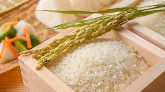 Giá lúa gạo hôm nay 7/3: Duy trì ổn định
