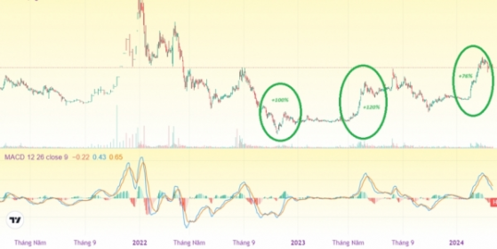 Doanh nghiệp BĐS KCN phía Nam 12 năm không chia cổ tức, cổ phiếu hễ nổi sóng là tăng 50-200%