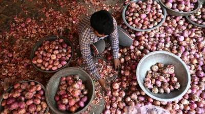 Sau gạo, cà chua, giá hành củ toàn cầu có thể tăng vì Ấn Độ