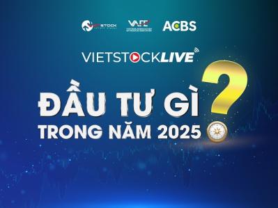 Vietstock LIVE: Đầu tư trong “kỷ nguyên vươn mình”