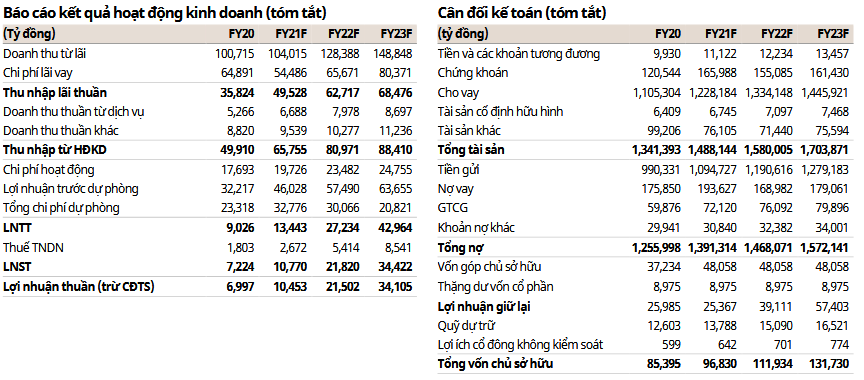 Báo cáo kết quả hoạt động kinh doanh (tóm tắt)