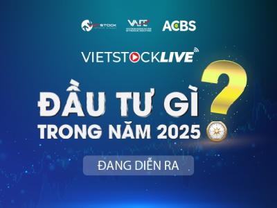 Vietstock LIVE: Đầu tư trong kỷ nguyên vươn mình