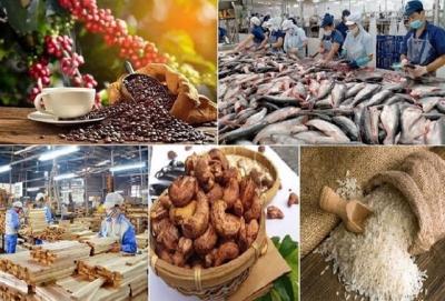 Xuất khẩu nông lâm thủy sản đạt hơn 28 tỷ USD trong 5 tháng đầu năm