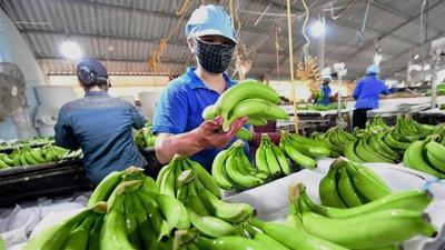 HAG tăng kịch trần, con trai bầu Đức muốn mua thêm 25 triệu cp