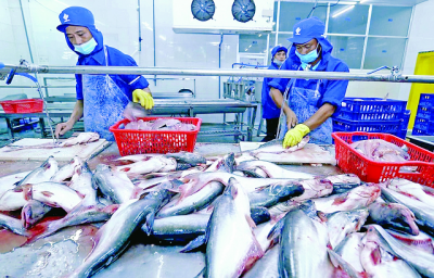 Trung Quốc tăng nhập khẩu thủy sản Việt Nam gấp 3 lần trong tháng đầu năm 