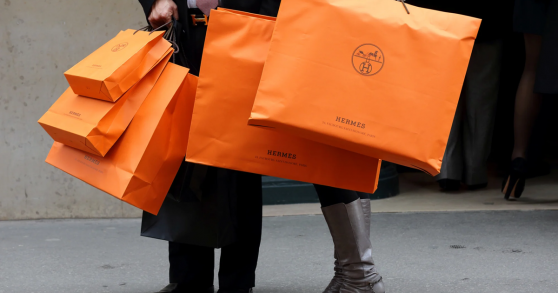 Túi Birkin - xa xỉ phẩm đầy tranh cãi của Hermès