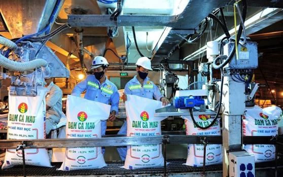 Đạm Cà Mau (DCM) nâng mức trả cổ tức năm 2022 cao gấp 6 lần kế hoạch