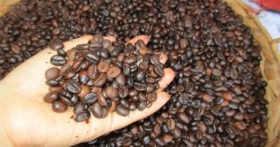 Giá cà phê Robusta lại lập kỷ lục