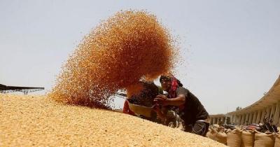 Ấn Độ 'hãm phanh' xuất khẩu lương thực, thế giới căng thẳng