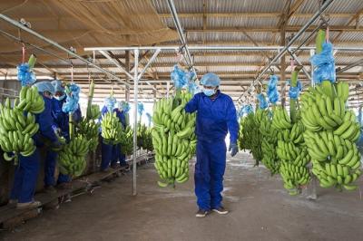 HNG giải trình biện pháp và lộ trình khắc phục chứng khoán bị kiểm soát