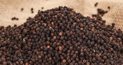 Thu 55 tỷ, hoàn thuế tới 2.135 tỷ: Lộ bất cập về thuế ở ngành ‘vàng đen’