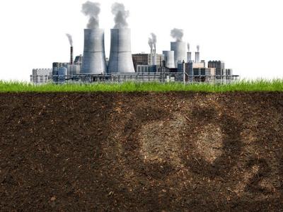 Bể chứa carbon và cuộc chiến chống biến đổi khí hậu của Việt Nam