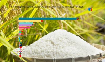 Nỗi lo lệ thuộc thị trường lớn của xuất khẩu gạo Việt Nam