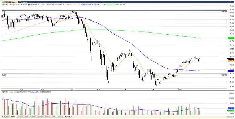 Đồ thị kỹ thuật VN-INDEX (chart ngày)