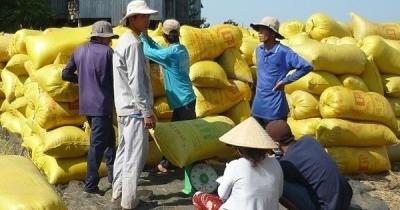 Bộ Công Thương: Tránh mua gom gạo ồ ạt, đẩy giá trong nước tăng bất hợp lý