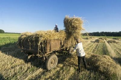 Giá thực phẩm và phân bón có thể leo thang vì xung đột Nga-Ukraine