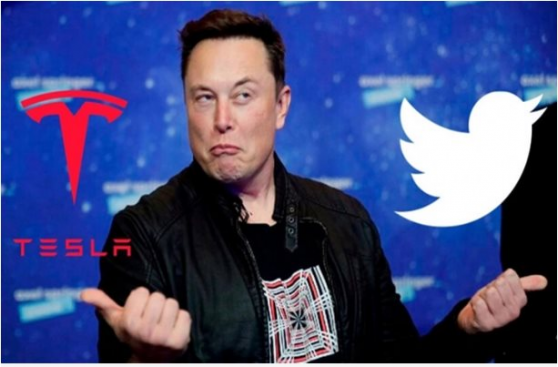 Elon Musk mua lại Twitter, cổ phiếu Tesla 'rớt thảm'