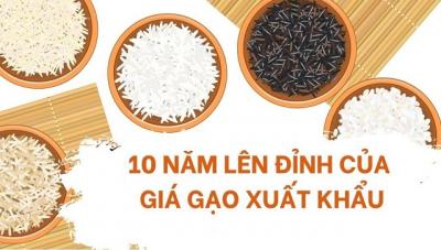 10 năm lên đỉnh của giá gạo xuất khẩu