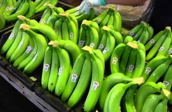 Xuất khẩu trái cây Việt Nam hướng tới 4 tỷ USD trong năm 2023