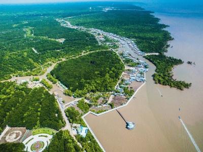 Rừng ngập mặn đóng góp gì cho hành trình Net Zero của Việt Nam?