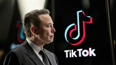 Elon Musk có thể mua lại TikTok ở Mỹ?