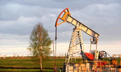 Dầu tăng hơn 2% khi Trump thu hồi giấy phép của Chevron tại Venezuela