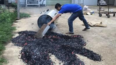 Bất ngờ với thị trường tín chỉ loại bỏ carbon hàng tỉ đô
