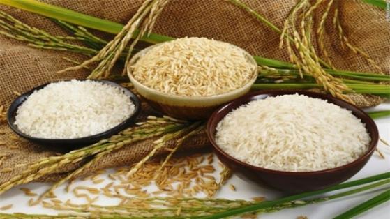 Giá gạo tăng chóng mặt, một cổ phiếu gấp 4 lần thị giá chỉ trong 10 ngày
