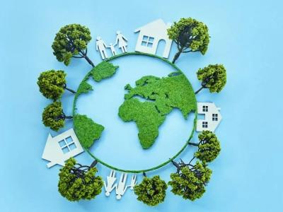 Carbon offset: Giải pháp thực sự hay chỉ là hình thức "rửa xanh" phát thải?
