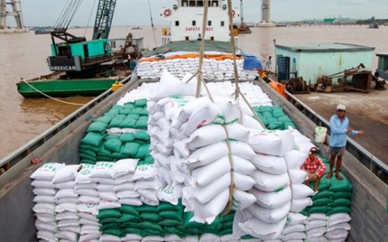 Bức tranh "sáng màu" của gạo Việt: Xuất khẩu quý 1 lập đỉnh 12 năm