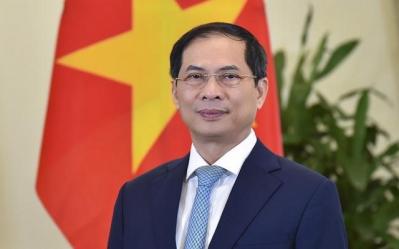 Bộ Chính trị phê bình nghiêm khắc Bộ trưởng Ngoại giao Bùi Thanh Sơn