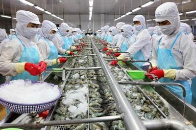 Cơ hội và thách thức trong việc tăng diện tích nuôi cũng như xuất khẩu của tôm Việt trong năm 2025